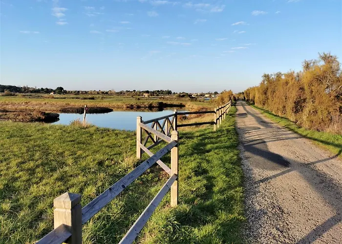 Brise Lame * 莱萨布勒-多洛讷