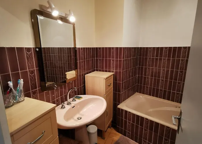 Brise Lame 莱萨布勒-多洛讷